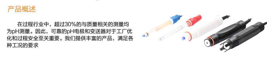 米科PH5013聚四氟乙烯防腐電極產品概述